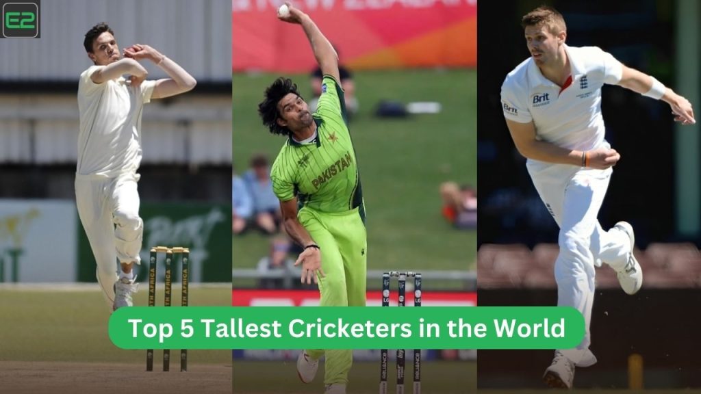 Tallest Cricketers in the World